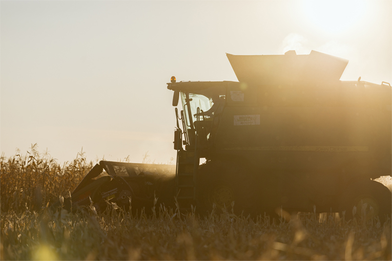 Crop production
