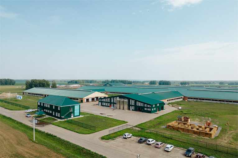 Sibirskaya Niva LLC