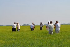 День поля в Защитном