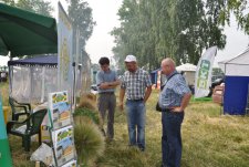 Курская Коренская ярмарка, 23-26.06.11 (2)