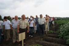 День поля в Курской области, 7.07.11