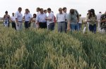 Field Day in Kursk Oblast