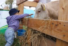 Kurskaya Korenskaya Fair-2010