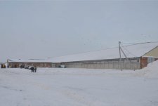 Opening of a livestock breeding complex