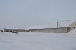 Opening of a livestock breeding complex