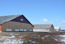 Opening of a livestock breeding complex