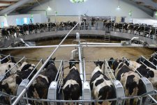 Opening of a livestock breeding complex