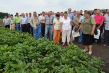 Field Day in Kursk Oblast