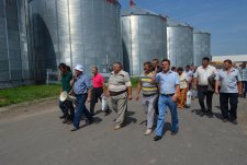 Field Day in Kursk Oblast