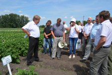 День поля в Курской области