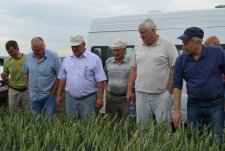 Field Day in Kursk Oblast