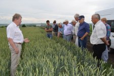 Field Day in Kursk Oblast