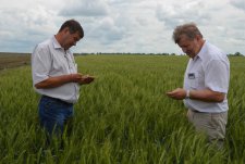 Field Day in Kursk Oblast