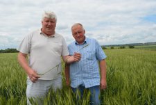 Field Day in Kursk Oblast