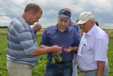 Field Day in Kursk Oblast