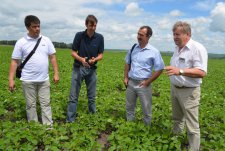 Field Day in Kursk Oblast