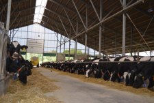 Visit to Cattle Raising and Crop Growing Farms of Germany