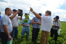 “New crops and plants. New genetics of winter wheat” Field Day