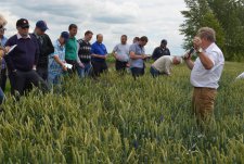 “New crops and plants. New genetics of winter wheat” Field Day