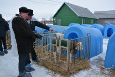 Regional livestock breeding workshop