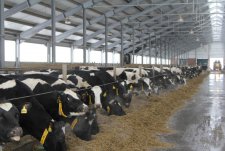 Opening of the rotary milking parlour