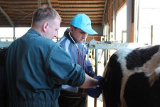 Spring Academy of Livestock Management for students of agricultural universities