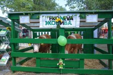 Kurskaya Korenskaya Fair