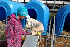 The first tour of the robotized dairy in Kaluzhskaya Niva