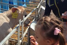 The first tour of the robotized dairy in Kaluzhskaya Niva