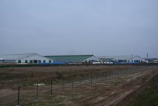 Opening of a robotic dairy farm