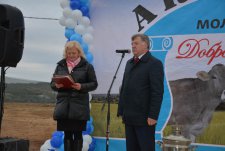 Opening of a robotic dairy farm