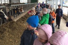 Tour of the robotic dairy in Boldasovka, Kaluzhskaya Niva