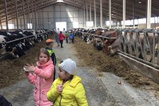 Tour of the robotic dairy in Boldasovka, Kaluzhskaya Niva