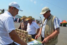 International Field Day in Tula oblast