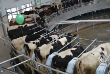 Opening of the modern dairy farm in Bushovka