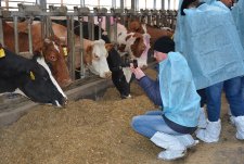 Clients of EkoNiva-Tekhnika visit a dairy in Voronezh oblast