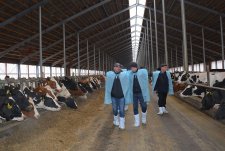 Clients of EkoNiva-Tekhnika visit a dairy in Voronezh oblast