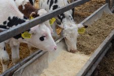 Clients of EkoNiva-Tekhnika visit a dairy in Voronezh oblast