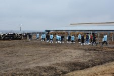 Clients of EkoNiva-Tekhnika visit a dairy in Voronezh oblast