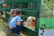 Kurskaya Korenskaya Fair — 2017