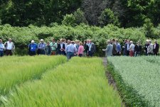 International plantbreeders in Zashchitnoye