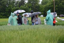 All-Russia Field Day in Kazan