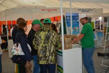 All-Russia Field Day in Kazan