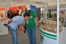 All-Russia Field Day in Kazan