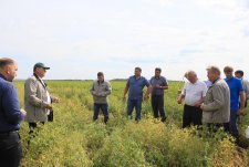 Training for seed growers in Sibirskaya Niva