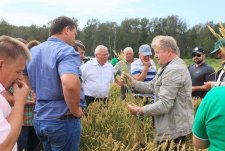 Training for seed growers in Sibirskaya Niva