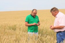 Training for seed growers in Sibirskaya Niva