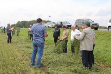 Training for seed growers in Sibirskaya Niva