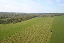 Forage Harvesting in Sibirskaya Niva