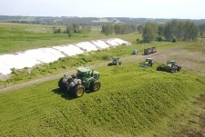 Forage Harvesting in Sibirskaya Niva